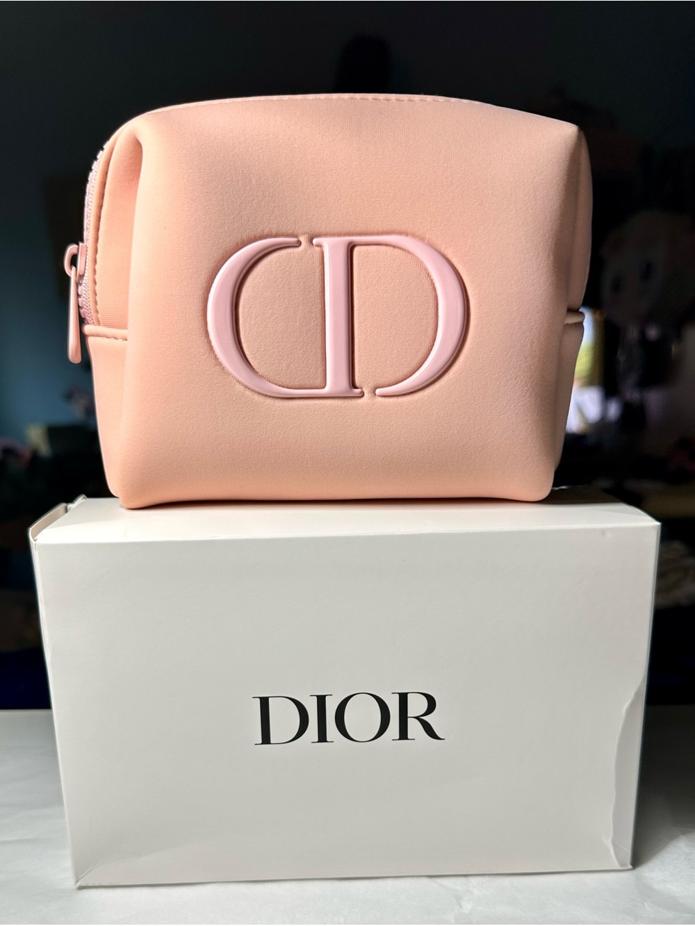Dior Beauty Light Pink Cosmetic Pouch GWP NWB